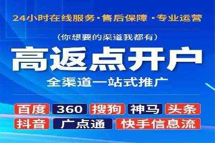 竞价排名广告投放案例
